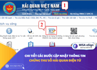 cập nhật chứng thư số hải quan