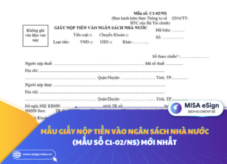 Mẫu giấy nộp tiền vào ngân sách nhà nước (Mẫu số C1-02/NS) 2026