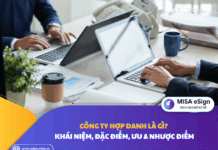công ty hợp danh là gì