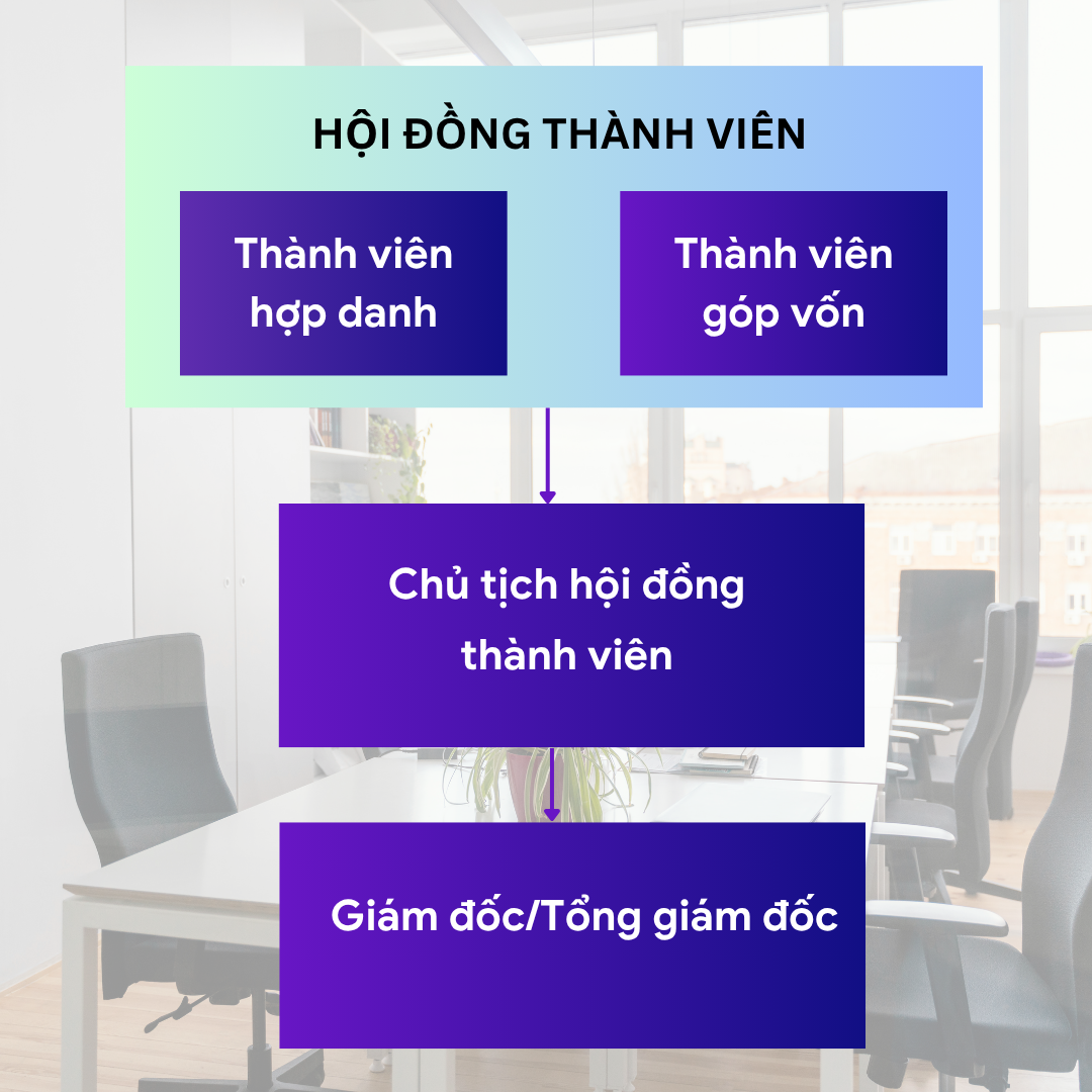 hội đồng thành viên