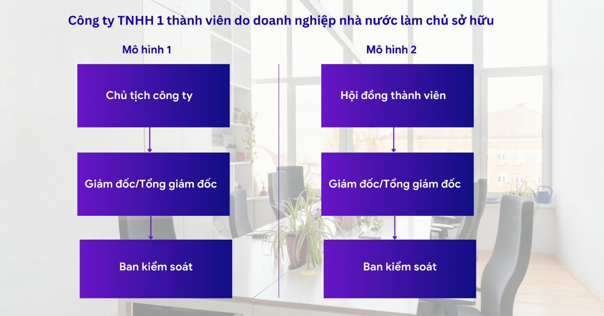 công ty TNHH doanh nghiệp nhà nước làm chủ sở hữu