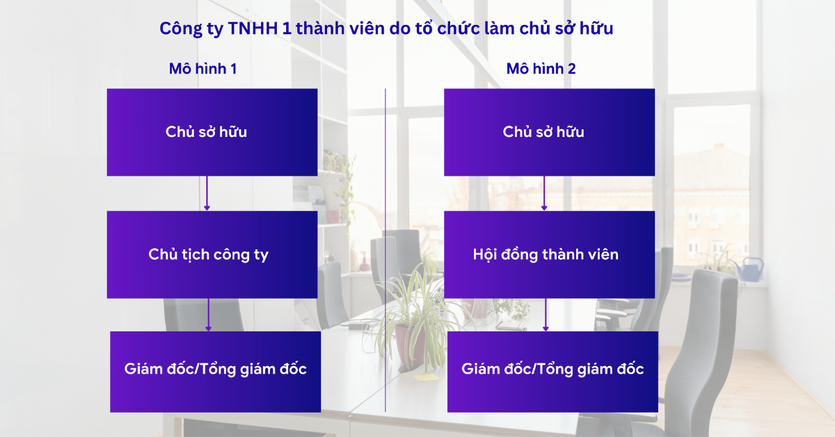 công ty TNHH 1 thành viên do tổ chức làm chủ sở hữu