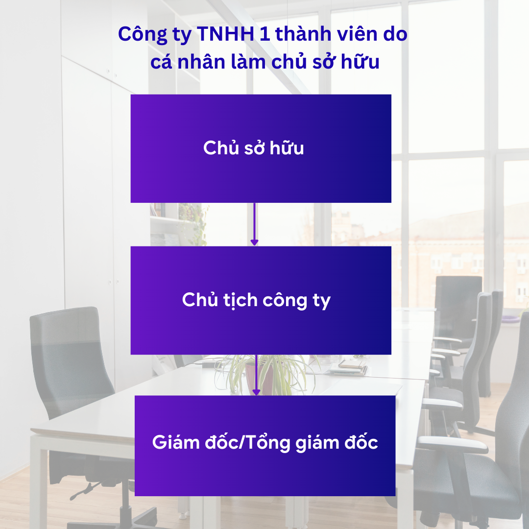 công ty TNHH 1 thành viên do cá nhân làm chủ sở hữu