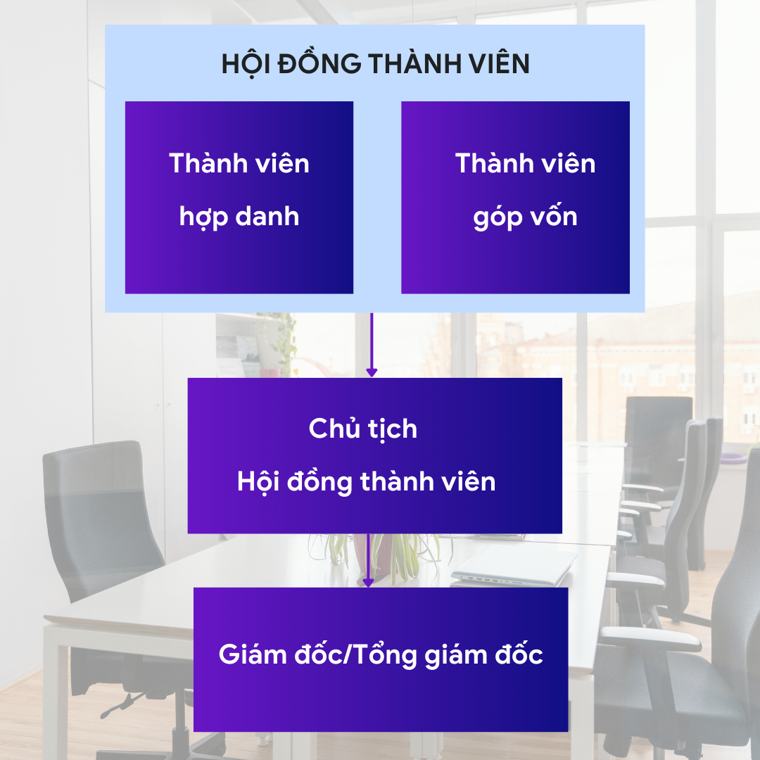 cơ cấu tổ chức công ty hợp danh