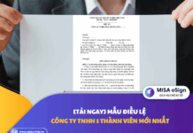 mẫu điều lệ công ty TNHH một thành viên