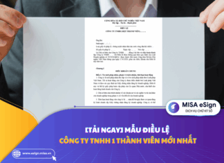 mẫu điều lệ công ty TNHH một thành viên