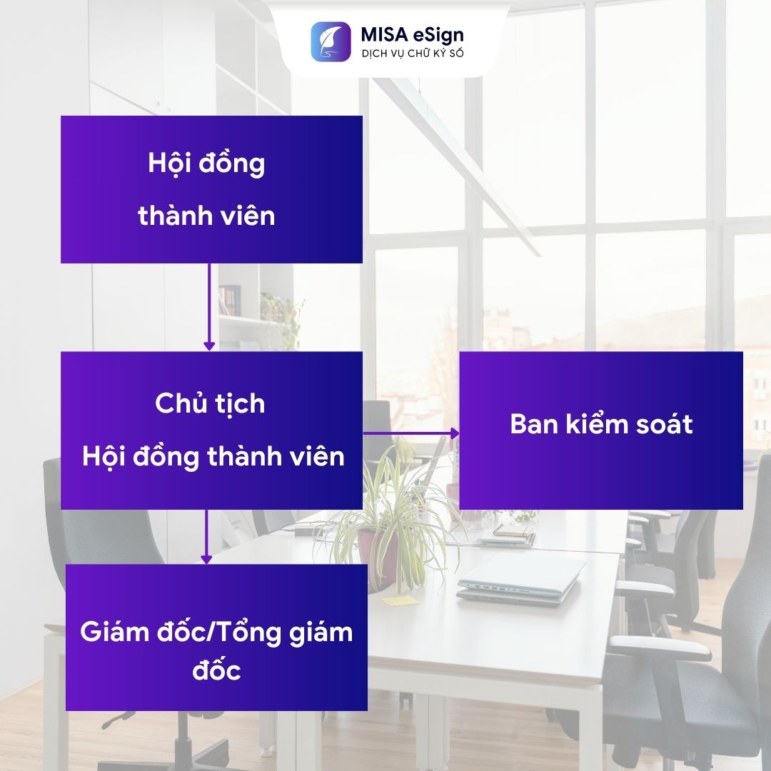 sơ đồ cơ cấu tổ chức công ty TNHH 2 thành viên trở lên