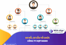 sơ đồ cơ cấu tổ chức công ty hợp danh