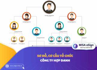 sơ đồ cơ cấu tổ chức công ty hợp danh