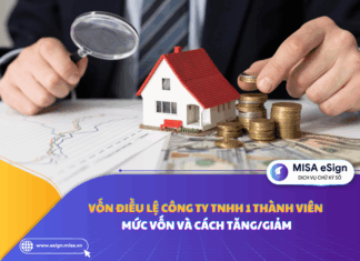 vốn điều lệ công ty TNHH 1 thành viên