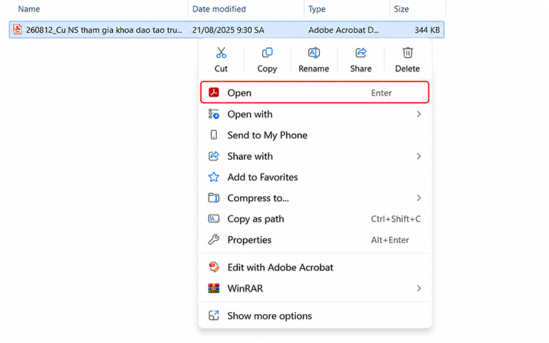 mở file PDF