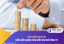 vốn điều lệ là gì