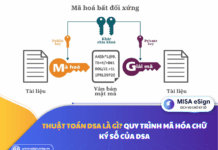 Thuật toán DSA là gì? Quy trình mã hóa chữ ký số của DSA