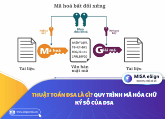 Thuật toán DSA là gì? Quy trình mã hóa chữ ký số của DSA