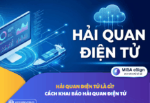 khai báo hải quan điện tử