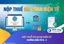 nộp thuế hải quan điện tử