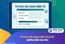 Tờ khai hải quan điện tử