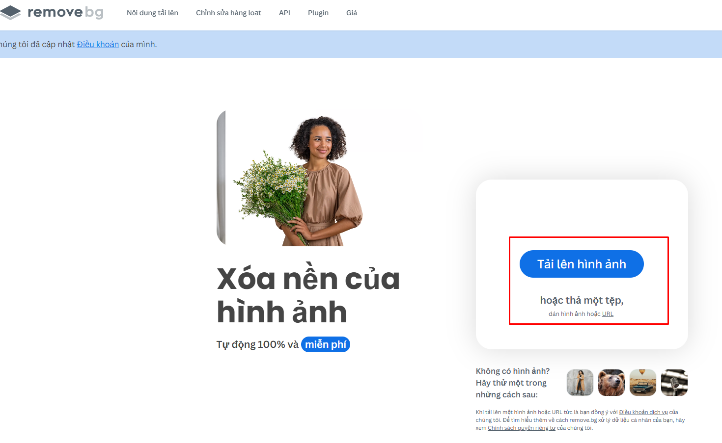 xóa nền bg remove