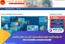 đăng nhập thuế điện tử