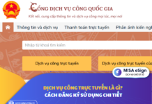 dịch vụ công trực tuyến là gì