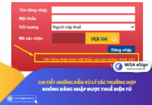không đăng nhập được thuế điện tử