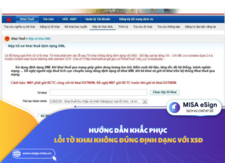 lỗi tờ khai không đúng với định dạng xsd