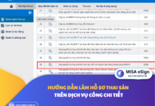 hướng dẫn làm hồ sơ thai sản trên dịch vụ công