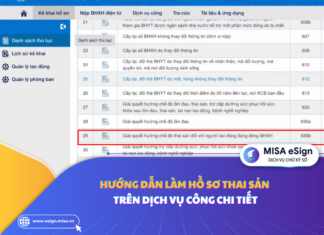 hướng dẫn làm hồ sơ thai sản trên dịch vụ công