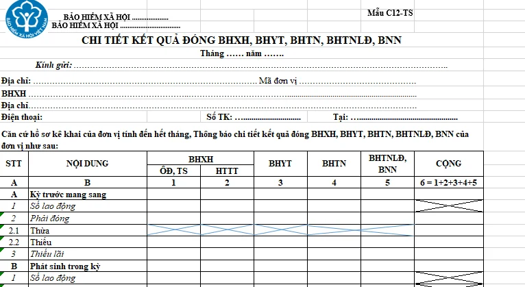 mẫu tờ khai C12 TS