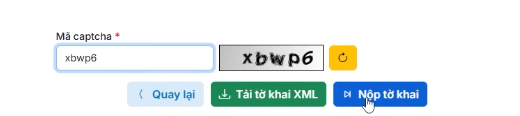 nhập mã captcha