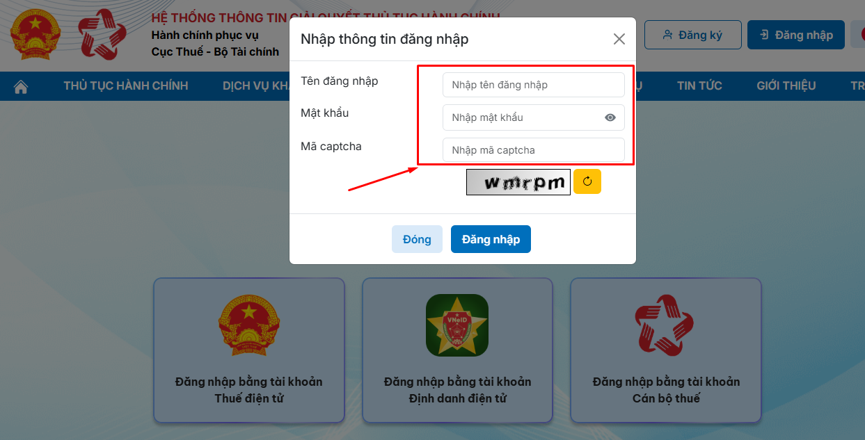 nhập thông tin doanh nghiệp
