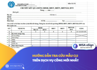 tra cứu mẫu c12 trên dịch vụ công
