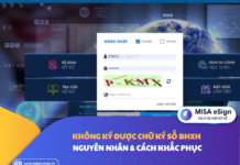 Không ký được chữ ký số BHXH – Nguyên nhân & cách khắc phục
